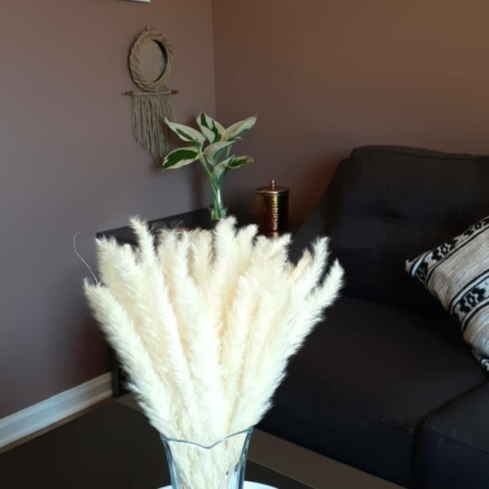 Great Mother GiftPampas 80Stems luxurious Gift!Amazing Wedding Centerpiece Décor - Picture 6 of 6